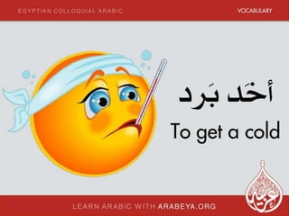 Daily Arabic for Daily Life 