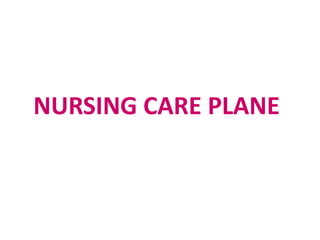 NURSING CARE PLANE
 