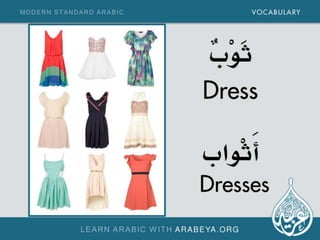 Daily and new Modern Standard Arabic Words (Singular and Plural) 