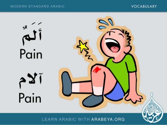 Improve Your Vocabulary And Follow Our Daily And New Modern Standard