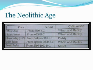 The Neolithic Age
 
