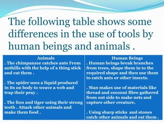 The following table shows some
differences in the use of tools by
human beings and animals .
Animals
. The chimpanzee catches ants From
anthills with the help of a thing stick
and eat them .
. The spider uses a liquid produced
in its on body to weave a web and
trap their pray .
. The lion and tiger using their strong
teeth . Attack other animals and
make them food .
Human Beings
. Human beings break branches
from trees, shape them in to the
required shape and then use them
to catch ants or other insects.
. Man makes use of materials like
thread and coconut fibre gathered
from out side to make nets and
capture other creature.
. Using sharp sticks and stones
catch other animals and eat them .
 