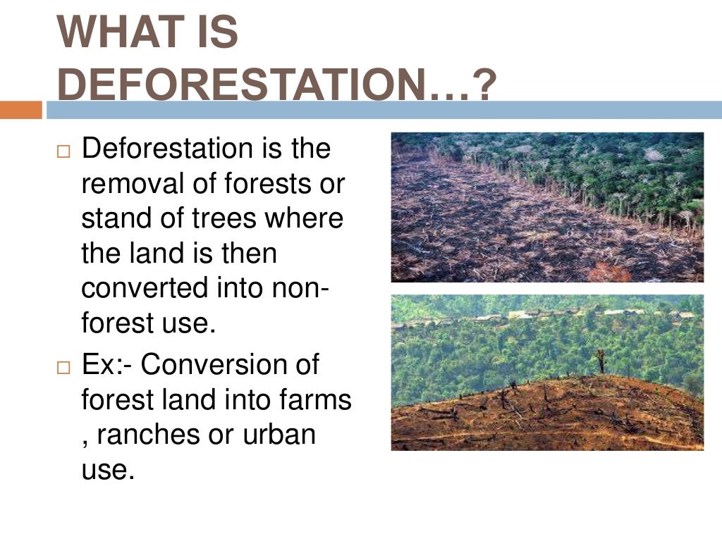 Deforestation And Afforestation