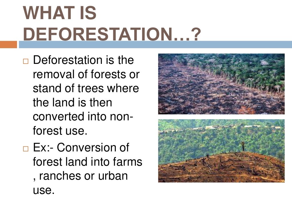 deforestation and afforestation