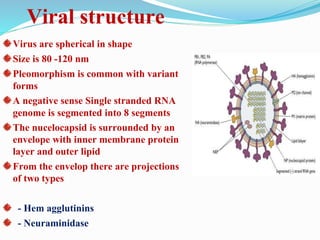 Viral structure
Virus are spherical in shape
Size is 80 -120 nm
Pleomorphism is common with variant
forms
A negative sense Single stranded RNA
genome is segmented into 8 segments
The nucelocapsid is surrounded by an
envelope with inner membrane protein
layer and outer lipid
From the envelop there are projections
of two types
- Hem agglutinins
- Neuraminidase
 