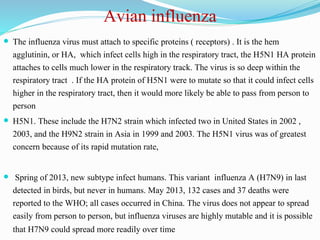 Avian influenza
 The influenza virus must attach to specific proteins ( receptors) . It is the hem
agglutinin, or HA, which infect cells high in the respiratory tract, the H5N1 HA protein
attaches to cells much lower in the respiratory track. The virus is so deep within the
respiratory tract . If the HA protein of H5N1 were to mutate so that it could infect cells
higher in the respiratory tract, then it would more likely be able to pass from person to
person
 H5N1. These include the H7N2 strain which infected two in United States in 2002 ,
2003, and the H9N2 strain in Asia in 1999 and 2003. The H5N1 virus was of greatest
concern because of its rapid mutation rate,
 Spring of 2013, new subtype infect humans. This variant influenza A (H7N9) in last
detected in birds, but never in humans. May 2013, 132 cases and 37 deaths were
reported to the WHO; all cases occurred in China. The virus does not appear to spread
easily from person to person, but influenza viruses are highly mutable and it is possible
that H7N9 could spread more readily over time
 