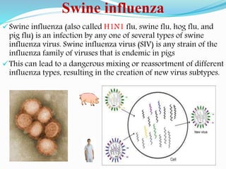 Swine influenza
Swine influenza (also called H1N1 flu, swine flu, hog flu, and
pig flu) is an infection by any one of several types of swine
influenza virus. Swine influenza virus (SIV) is any strain of the
influenza family of viruses that is endemic in pigs
This can lead to a dangerous mixing or reassortment of different
influenza types, resulting in the creation of new virus subtypes.
 
