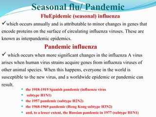  the 1918-1919 Spanish pandemic (influenza virus
 subtype H1N1)
 the 1957 pandemic (subtype H2N2)
 the 1968-1969 pandemic (Hong Kong subtype H3N2)
 and, to a lesser extent, the Russian pandemic in 1977 (subtype H1N1)
FluEpidemic (seasonal) influenza
which occurs annually and is attributable to minor changes in genes that
encode proteins on the surface of circulating influenza viruses. These are
known as interpandemic epidemics.
Pandemic influenza
 which occurs when more significant changes in the influenza A virus
arises when human virus strains acquire genes from influenza viruses of
other animal species. When this happens, everyone in the world is
susceptible to the new virus, and a worldwide epidemic or pandemic can
result.
Seasonal flu/ Pandemic
 