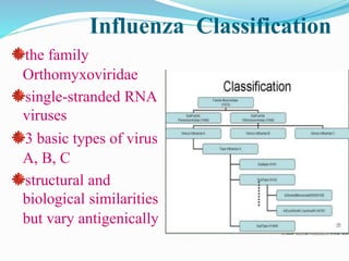 Influenza Classification
the family
Orthomyxoviridae
single-stranded RNA
viruses
3 basic types of virus
A, B, C
structural and
biological similarities
but vary antigenically
 