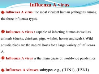 Influenza A virus
Influenza A virus: the most virulent human pathogens among
the three influenza types.
Influenza A virus : capable of infecting human as well as
animals (ducks, chickens, pigs, whales, horses and seals). Wild
aquatic birds are the natural hosts for a large variety of influenza
A.
Influenza A virus is the main cause of worldwide pandemics.
Influenza A viruses subtypes e.g., (H1N1), (H5N1)
 