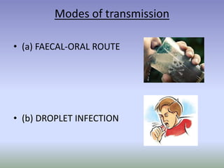Modes of transmission
• (a) FAECAL-ORAL ROUTE
• (b) DROPLET INFECTION
 