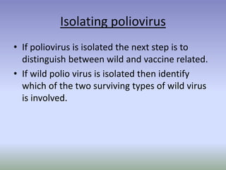Isolating poliovirus
• If poliovirus is isolated the next step is to
distinguish between wild and vaccine related.
• If wild polio virus is isolated then identify
which of the two surviving types of wild virus
is involved.
 