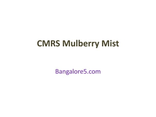 CMRS Mulberry Mist
Bangalore5.com
 