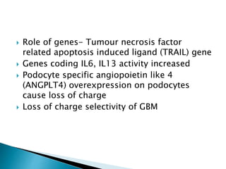  Role of genes- Tumour necrosis factor
related apoptosis induced ligand (TRAIL) gene
 Genes coding IL6, IL13 activity increased
 Podocyte specific angiopoietin like 4
(ANGPLT4) overexpression on podocytes
cause loss of charge
 Loss of charge selectivity of GBM
 