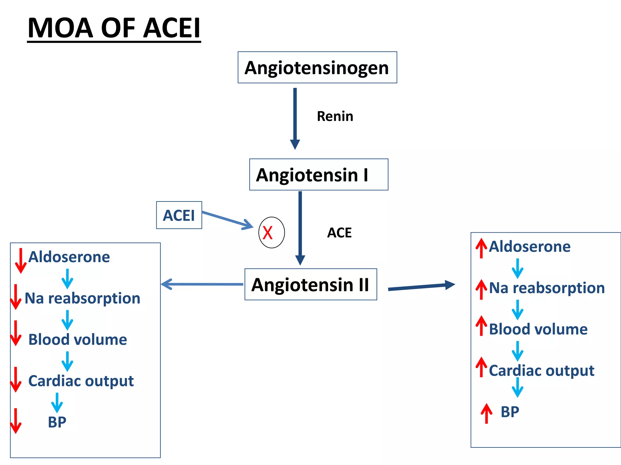 Angiotensin converting Enzyme inhibitors | PPTX