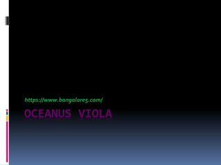 OCEANUS VIOLA
https://www.bangalore5.com/
 