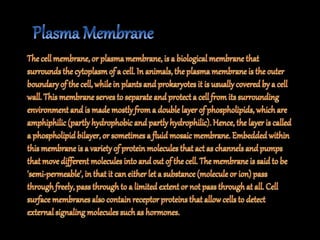 The fundamental unit of life ~ Cell