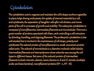 The fundamental unit of life ~ Cell