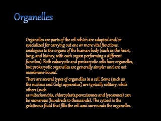 The fundamental unit of life ~ Cell