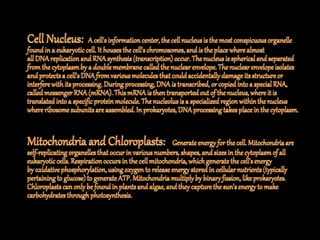 The fundamental unit of life ~ Cell