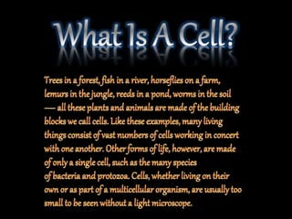 The fundamental unit of life ~ Cell