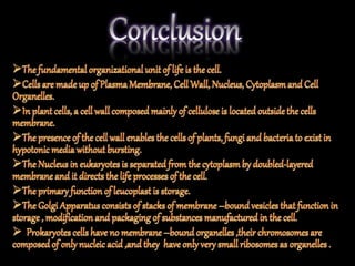 The fundamental unit of life ~ Cell
