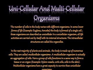 The fundamental unit of life ~ Cell