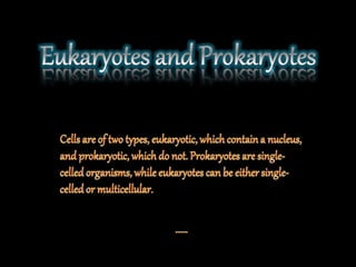 The fundamental unit of life ~ Cell