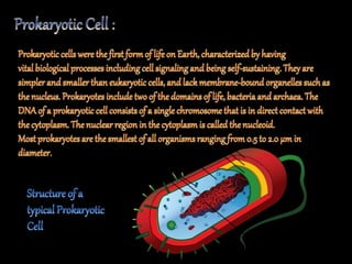 The fundamental unit of life ~ Cell