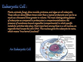 The fundamental unit of life ~ Cell