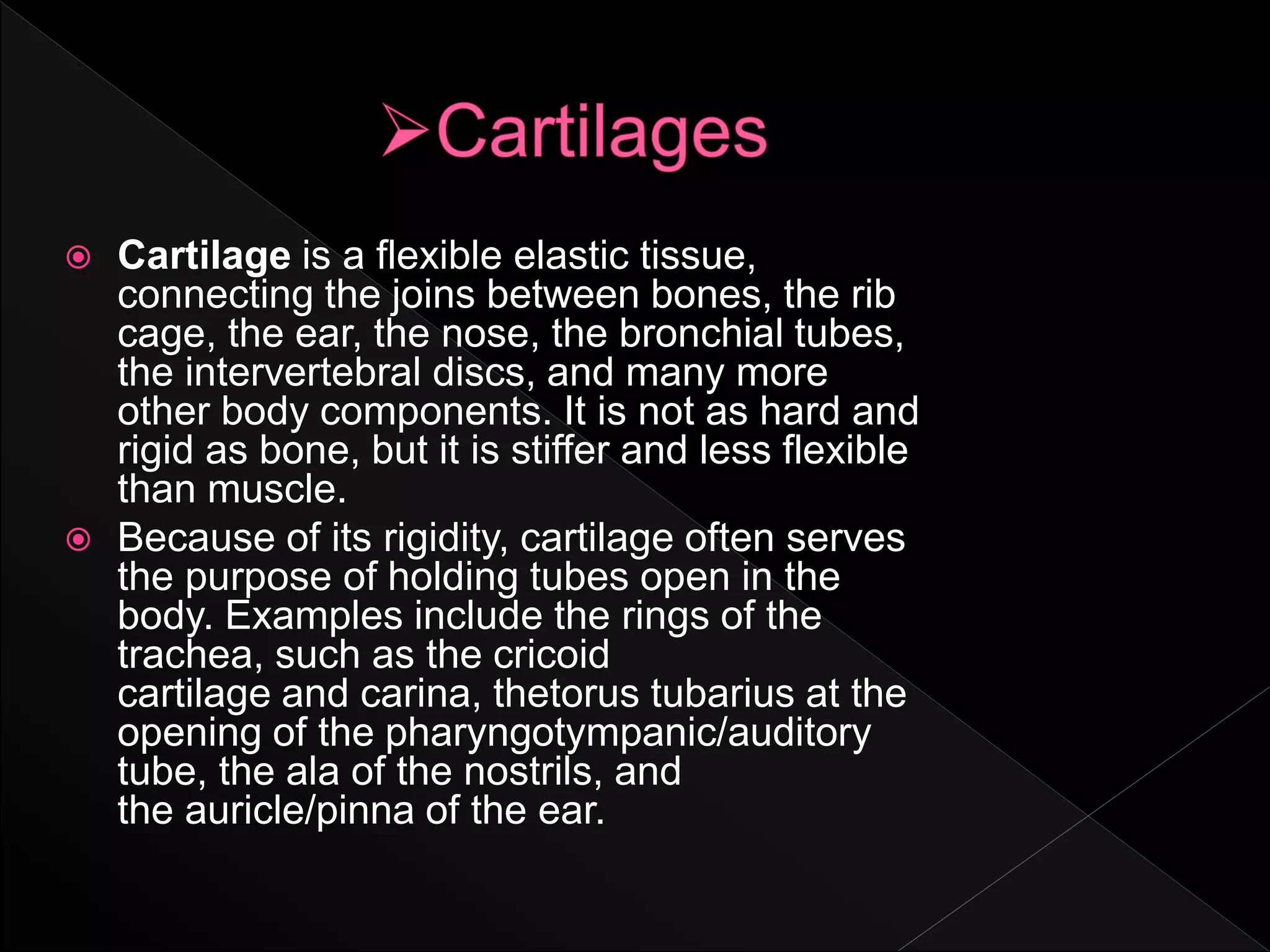  Cartilage is a flexible elastic tissue,
connecting the joins between bones, the rib
cage, the ear, the nose, the bronchial tubes,
the intervertebral discs, and many more
other body components. It is not as hard and
rigid as bone, but it is stiffer and less flexible
than muscle.
 Because of its rigidity, cartilage often serves
the purpose of holding tubes open in the
body. Examples include the rings of the
trachea, such as the cricoid
cartilage and carina, thetorus tubarius at the
opening of the pharyngotympanic/auditory
tube, the ala of the nostrils, and
the auricle/pinna of the ear.
 