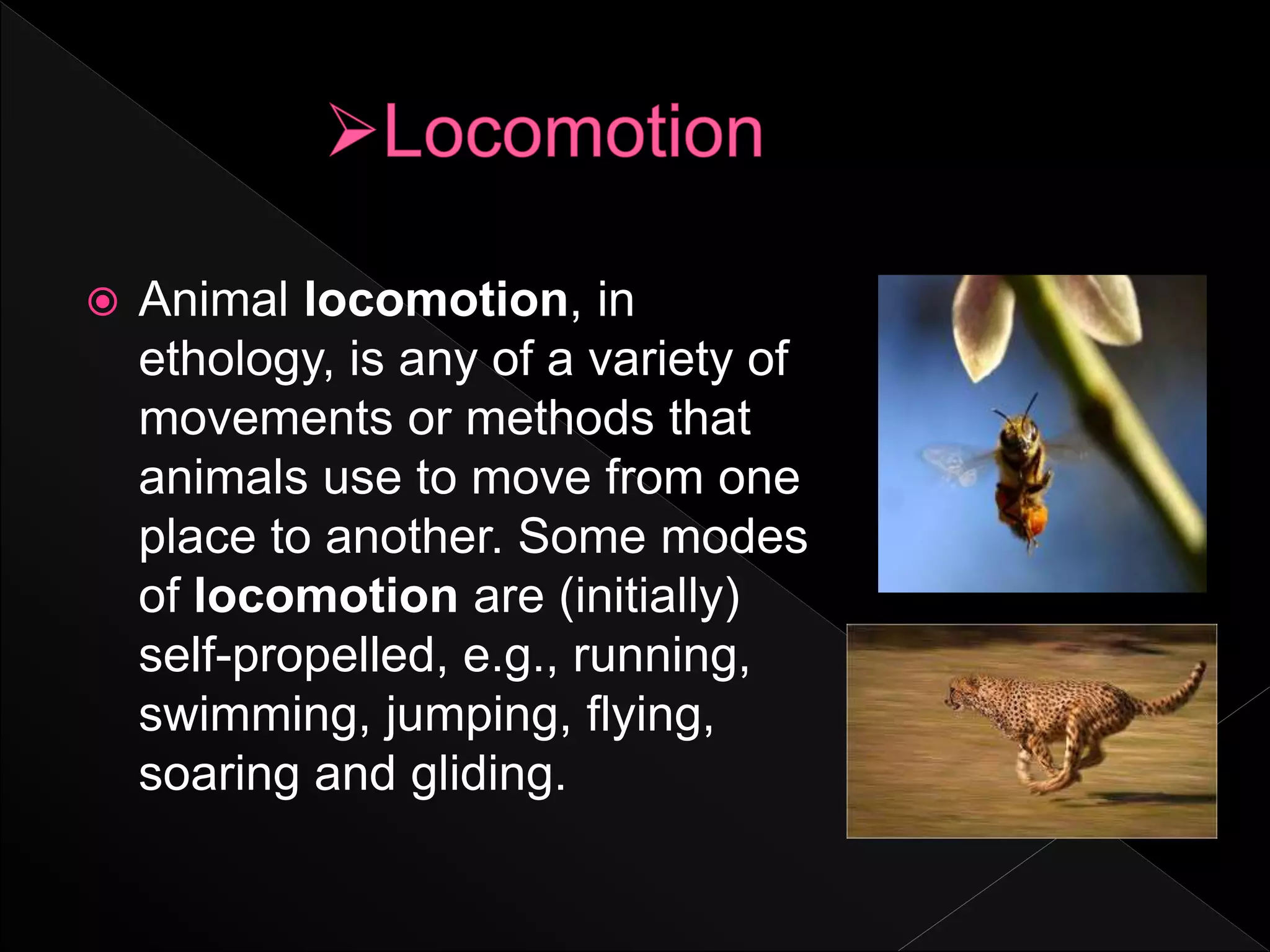  Animal locomotion, in
ethology, is any of a variety of
movements or methods that
animals use to move from one
place to another. Some modes
of locomotion are (initially)
self-propelled, e.g., running,
swimming, jumping, flying,
soaring and gliding.
 