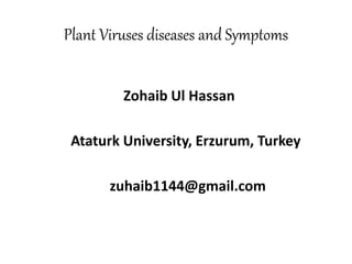Plant Viruses diseases and Symptoms
Zohaib Ul Hassan
Ataturk University, Erzurum, Turkey
zuhaib1144@gmail.com
 