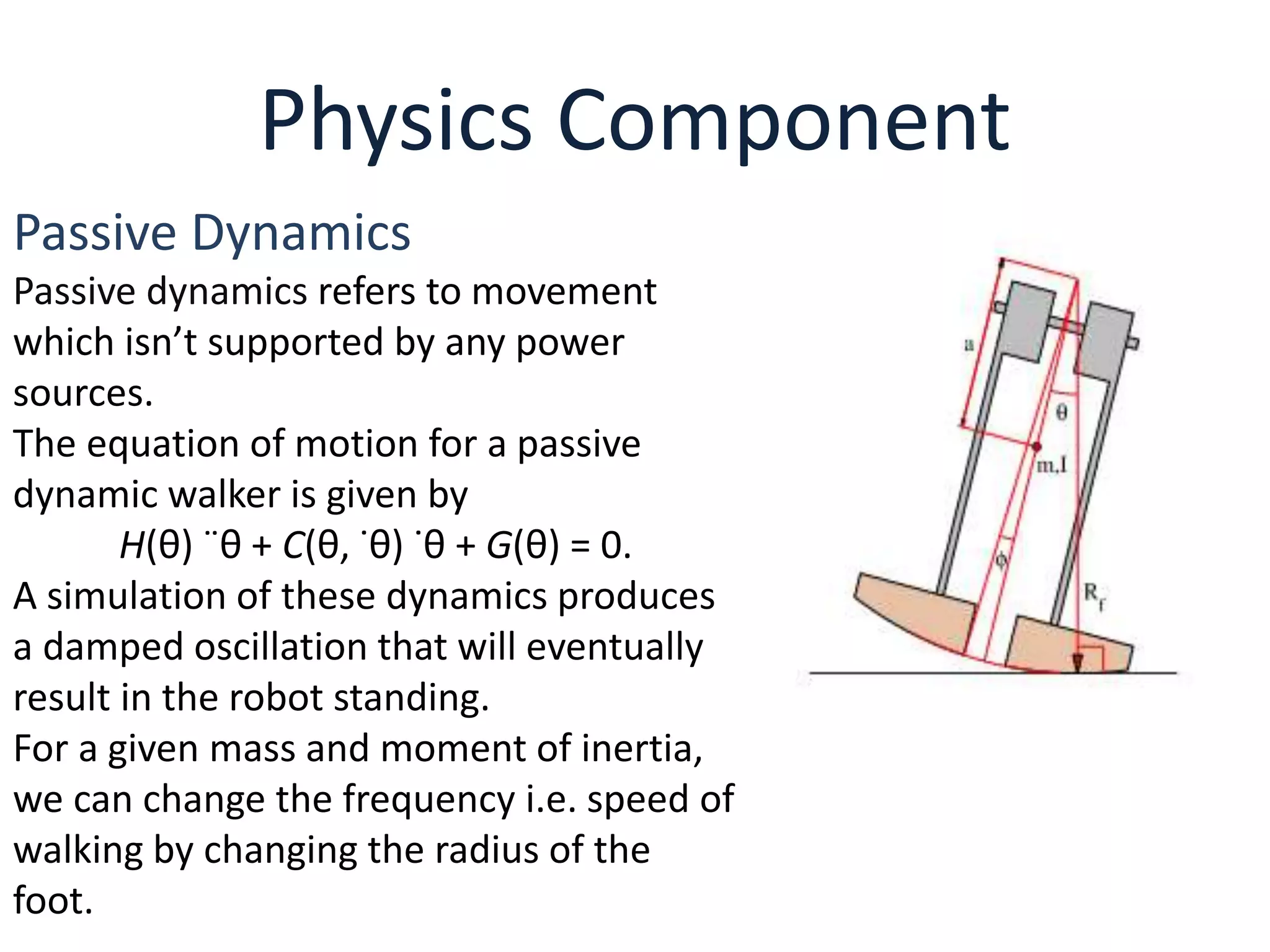 Physics Component
Passive Dynamics
Passive dynamics refers to movement
which isn’t supported by any power
sources.
The equation of motion for a passive
dynamic walker is given by
H(θ) ¨θ + C(θ, ˙θ) ˙θ + G(θ) = 0.
A simulation of these dynamics produces
a damped oscillation that will eventually
result in the robot standing.
For a given mass and moment of inertia,
we can change the frequency i.e. speed of
walking by changing the radius of the
foot.
 