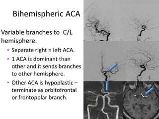 ARTERIAL AND VENOUS SUPPLY OF BRAIN | PPTX