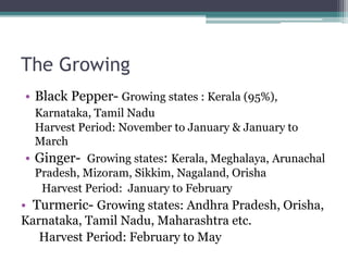 The Growing
• Black Pepper- Growing states : Kerala (95%),
Karnataka, Tamil Nadu
Harvest Period: November to January & January to
March
• Ginger- Growing states: Kerala, Meghalaya, Arunachal
Pradesh, Mizoram, Sikkim, Nagaland, Orisha
Harvest Period: January to February
• Turmeric- Growing states: Andhra Pradesh, Orisha,
Karnataka, Tamil Nadu, Maharashtra etc.
Harvest Period: February to May
 
