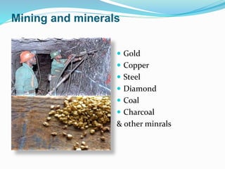 Mining and minerals
 Gold
 Copper
 Steel
 Diamond
 Coal
 Charcoal
& other minrals
 