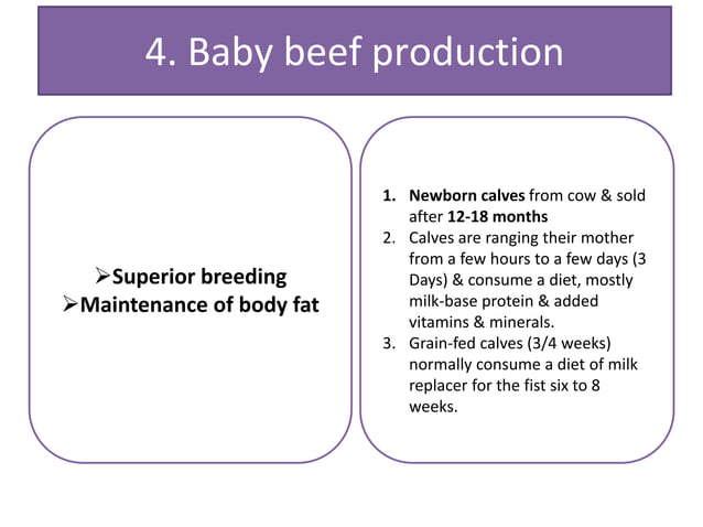 Beef production system | PPTX