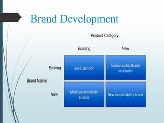 Brand Development
 