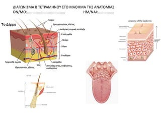 ΔΙΑΓΩΝΙΣΜΑ Β ΤΕΤΡΑΜΗΝΟΥ ΣΤΟ ΜΑΘΗΜΑ ΤΗΣ ΑΝΑΤΟΜΙΑΣ
ΟΝ/ΜΟ:…………………………..……… ΗΜ/ΝΑΙ:……………..
 