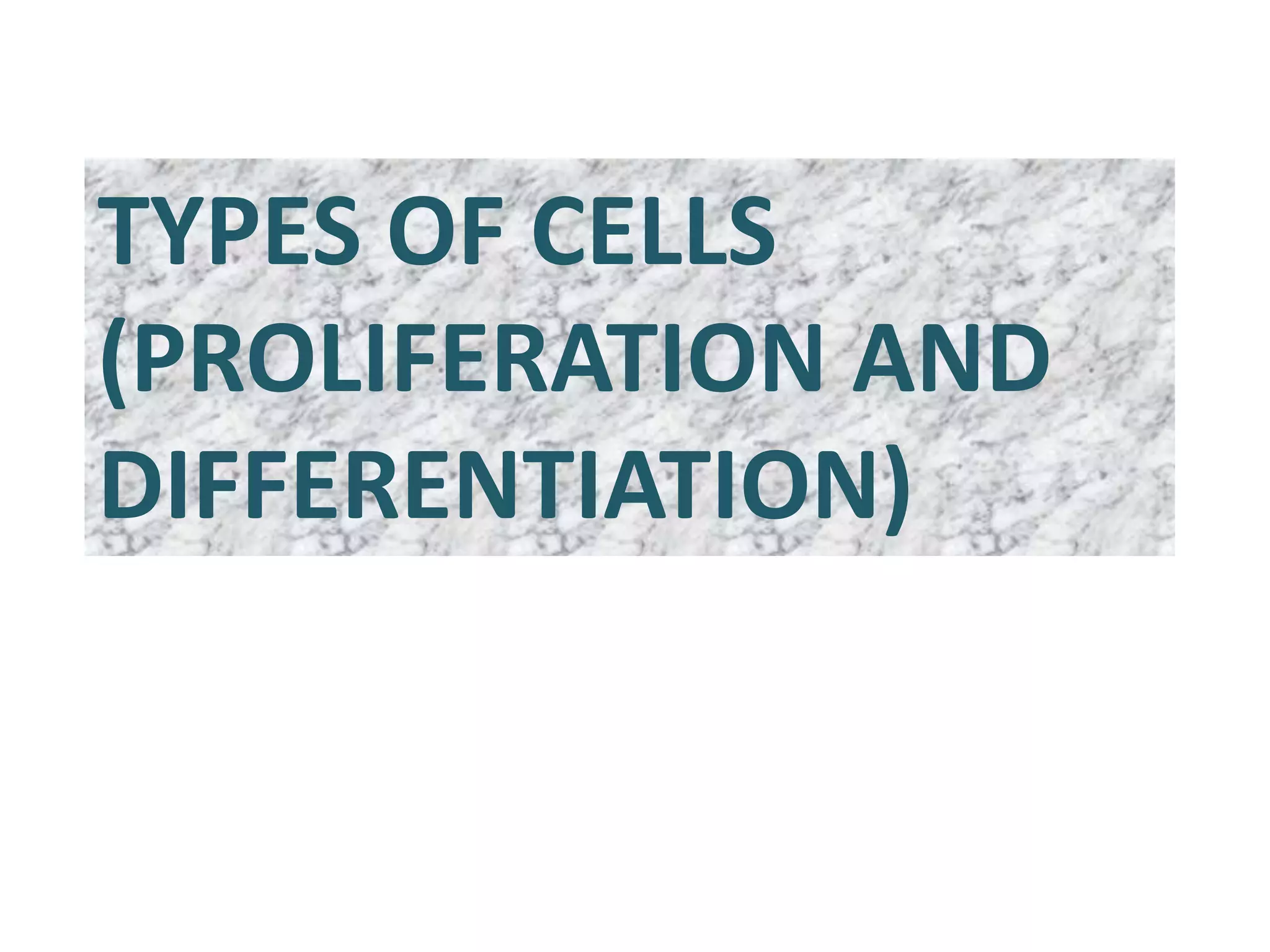 TYPES OF CELLS
(PROLIFERATION AND
DIFFERENTIATION)
 