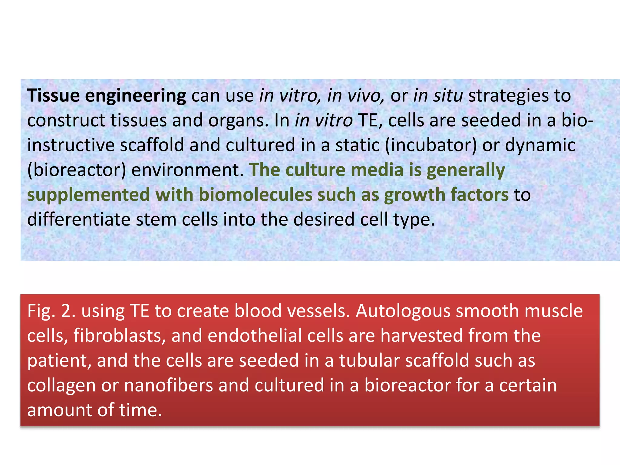 Tissue engineering can use in vitro, in vivo, or in situ strategies to
construct tissues and organs. In in vitro TE, cells are seeded in a bio-
instructive scaffold and cultured in a static (incubator) or dynamic
(bioreactor) environment. The culture media is generally
supplemented with biomolecules such as growth factors to
differentiate stem cells into the desired cell type.
Fig. 2. using TE to create blood vessels. Autologous smooth muscle
cells, fibroblasts, and endothelial cells are harvested from the
patient, and the cells are seeded in a tubular scaffold such as
collagen or nanofibers and cultured in a bioreactor for a certain
amount of time.
 