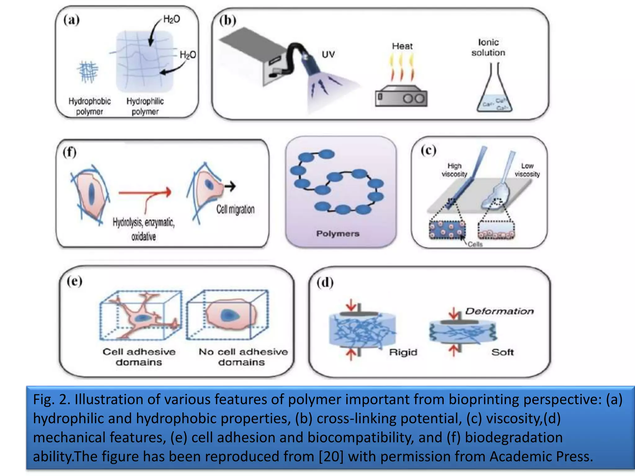 Fig. 2. Illustration of various features of polymer important from bioprinting perspective: (a)
hydrophilic and hydrophobic properties, (b) cross-linking potential, (c) viscosity,(d)
mechanical features, (e) cell adhesion and biocompatibility, and (f) biodegradation
ability.The figure has been reproduced from [20] with permission from Academic Press.
 