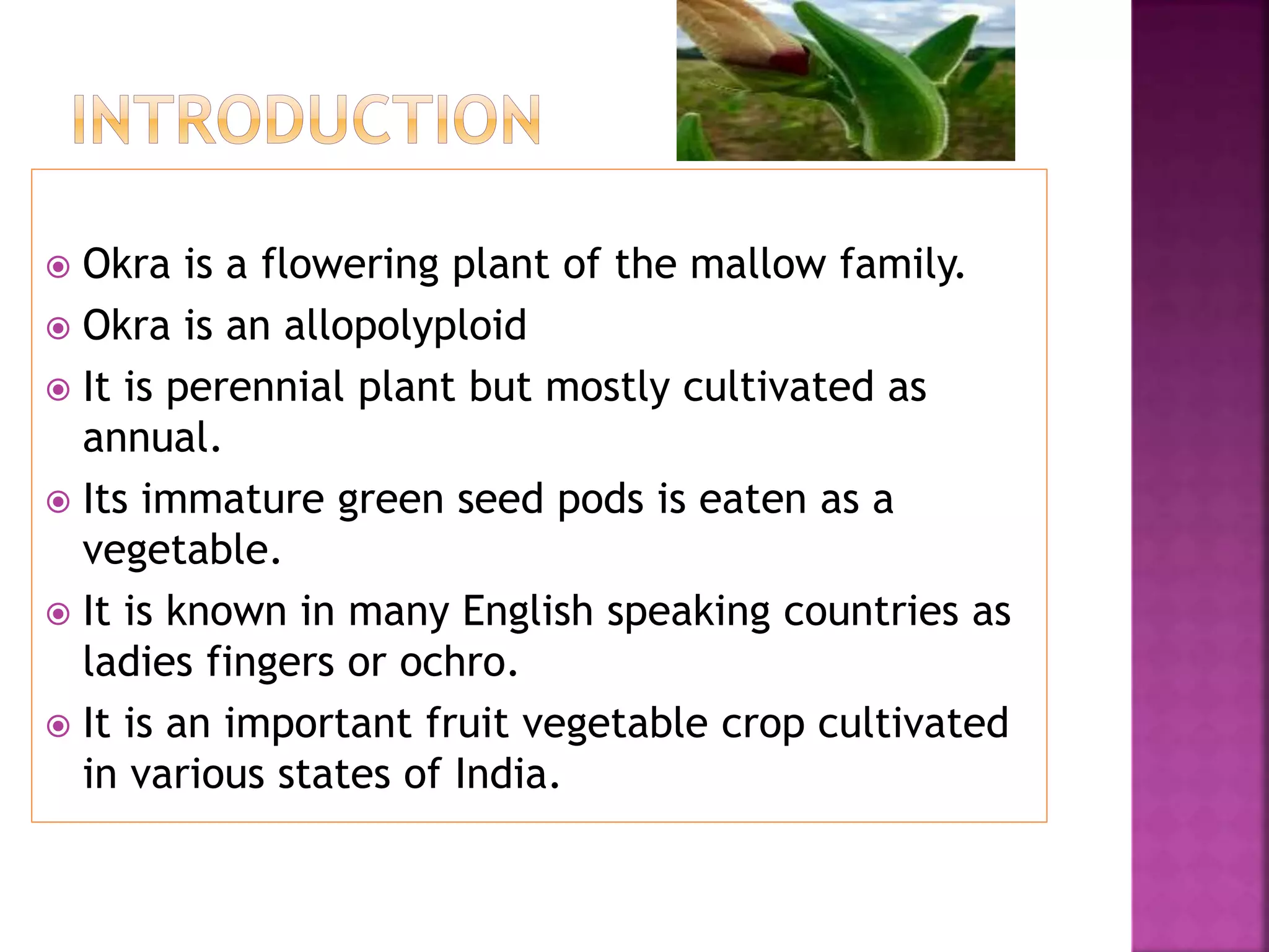 cultivation practices of okra PPT