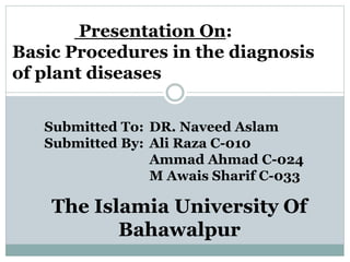 Presentation On:
Basic Procedures in the diagnosis
of plant diseases
Submitted To: DR. Naveed Aslam
Submitted By: Ali Raza C-010
Ammad Ahmad C-024
M Awais Sharif C-033
The Islamia University Of
Bahawalpur
 