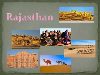 welcome to rajasthan 