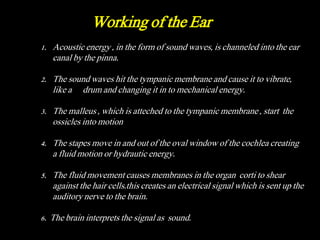 1. Acoustic energy , in the form of sound waves, is channeled into the ear
canal by the pinna.
2. The sound waves hit the tympanic membrane and cause it to vibrate,
like a drum and changing it in to mechanical energy.
3. The malleus , which is atteched to the tympanic membrane , start the
ossicles into motion
4. The stapes move in and out of the oval window of the cochlea creating
a fluid motion or hydrautic energy.
5. The fluid movement causes membranes in the organ corti to shear
against the hair cells.this creates an electrical signal which is sent up the
auditory nerve to the brain.
6. The brain interprets the signal as sound.
Working of the Ear
 