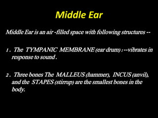 Middle Ear
Middle Ear is an air -filled space with following structures --
1 . The TYMPANIC MEMBRANE (ear drum) :--vibrates in
response to sound .
2 . Three bones The MALLEUS (hammer), INCUS (anvil),
and the STAPES (stirrup) are the smallest bones in the
body.
 
