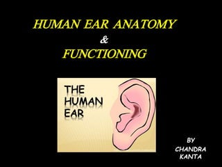 HUMAN EAR ANATOMY
&
FUNCTIONING
BY
CHANDRA
KANTA
 
