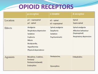 OPIOID RECEPTORS
 